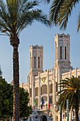  Palazzo Civico di Cagliari, palm trees, Cagliari, Sardinia, Italy 