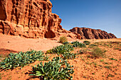 Wüstenlandschaft in Wadi Rum, Jordanien