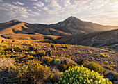  Montana Hendida, Fuerteventura, Canary Islands, Spain 