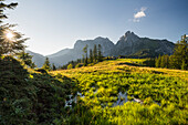  Treffneralm, Reichenstein, Ennstal Alps, Styria, Austria 