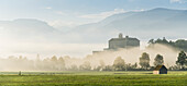 Schloss Trautenfels, Stainach Irdning, Ennstal, Steiermark, Österreich