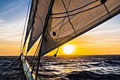 Sonnenuntergang, Segelschiff, Oranjestad, Aruba, Niederlande, Kleine Antillen