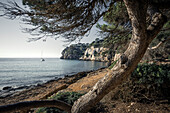  Sea bay &quot;Cala Macarella&quot;, Menorca, Balearic Islands, Spain, Europe 