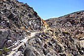  Chile; northern Chile; Arica y Parinacota Region; Jurasse gorge near Putre; on ancient Inca paths along the gorge 