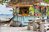 Riesenschildkröte an der Strandbar, La Digue, Seychellen