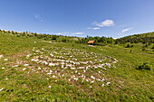 Das Nebeski labirinti bei Vidikovac Sviba, Eyes of Vinodol, Kroatien, Europa