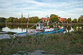  In the morning at the ferry, Fahr am Main, Kitzingen, Lower Franconia, Franconia, Bavaria, Germany, Europe 