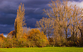 Bunte Licht Stimmung bei Sonnenschein mit Herbst Farben und dramatisch dunklen Wolken, Gernsheim, Deutschland