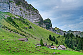 Almhütten stehen vor Felswänden des Säntis, Schwägalp, Alpstein, Appenzeller Alpen, Appenzell Ausserrhoden, Schweiz