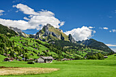 Talboden des Thur mit Wildhuser Schafberg im Hintergrund, Alt St. Johann, Alpstein, Appenzeller Alpen, Toggenburg, St. Gallen, Schweiz