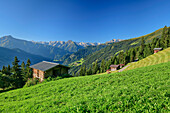 Almwiese und Heustadel mit Zillertaler Alpen, Zillertaler Höhenstraße, Tuxer Alpen, Zillertal, Tirol, Österreich