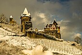 Burg Stahleck und Weinberg im Winter, Oberes Mittelrheintal, Rheinland-Pfalz, Deutschland