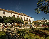 Plaza de los Naranjos mit Parkanlage, Orangenbäumen, Außengastronomie und Rathaus, Marbella, Costa del Sol, Andalusien, Spanien