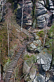 Wanderweg am Lilienstein, Südabstieg, Sächsische Schweiz, Elbsandsteingebirge, Sachsen, Deutschland