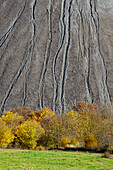  “Hohe Linde” dump, Sangerhausen, Saxony-Anhalt, Germany 