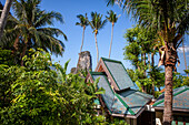 Haus zwischen Palmen auf Krabi, Thailand