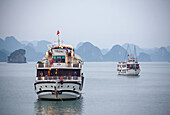 Touristenschiffe in der Halong-Bucht, Vietnam