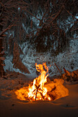 Campfire in the forest in winter with snow