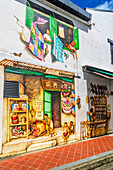  Streets in the Chinatown district, murals, Singapore, Asia 