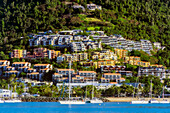 Blick auf Hotels und Häuser am Hang, Airlie Beach, Ostküste, Queensland, Australien