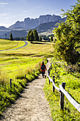 Wanderer mit Hund auf Wanderweg, sommerlicher Herbsttag auf der Seiser Alm, Dolomiten, Südtirol, Italien