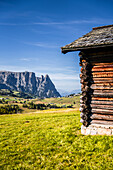 Sommerlicher Herbsttag auf der Seiser Alm, Dolomiten, Südtirol, Italien