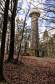  The Lucas Cranach Tower near Kronach, Upper Franconia, Franconia, Bavaria, Germany, Europe 