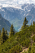 Alpenpanorama - Blick vom Jenner auf den Königssee, Berchtesgaden, Schönau, Bayern, Deutschland 