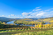  Moselle loop near Trittenheim, Moselle, Mosltal, Hunsrück, Eifel, Rhineland-Palatinate, Germany 