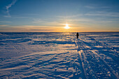 Frozen sea at sunset; Lulea, Norrbotten, Sweden 