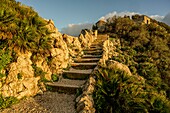  Teppenweg in the Upper Rock Nature Reserve to a historic fortification, Gibraltar, British Crown Colony 