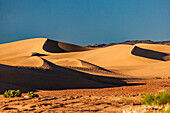 Sanddünen in der Wüste Sahara im Sonnenuntergang, Dünenlandschaft, Marokko, Nordafrika