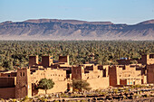  Morocco, buildings in front of a date palm plantation in the Dra Valley 