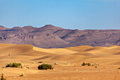  Morocco, Sahara desert, dune landscape in front of mountains 