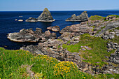  Great Britain, Scotland, Island of Islay, cliffs at Lower Killeyan on the west coast 