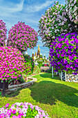 Petunienbäume vor Märchenschloss, Der Blumenpark 'Miracle Garden', Dubai, Vereinigte Arabische Emirate, Arabische Halbinsel, Naher Osten