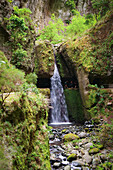 Wasserfall, Wanderung an den Levadas bei Ponta del Sol, Madeira, Portugal, Europa