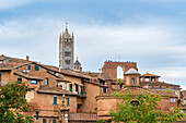  Detailed view of Siena, Tuscany, Italy 
