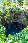 People swimming in limestone sinkhole pool, Cenote Ik kil, Pisté, Yucatan, Mexico