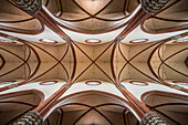 Deckengewölbe in der Basilika San Petronio ist die Hauptkirche von Bologna, Region Emilia-Romagna, Italien, Europa