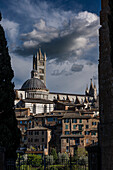 Blick auf Altstadt mit Dom und Turm, Siena, Region Toskana, Italien, Europa
