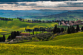 Blick auf die grünen Hügel im Hintergrund, Frühling in der Region bei Pienza, Toskana, Italien, Europa