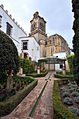 Iglesia de San Pedro und Rathaus, Arcos de la Frontera, an der Straße der weißen Dörfer 'Pueblos Blancos',  Provinz Cádiz, Andalusien, Spanien