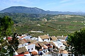 Blick von Olvera auf die Landschaft an der Straße der weißen Dörfer 'Pueblos Blancos', Olvera, Provinz Cádiz, Andalusien, Spanien