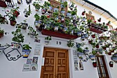 Typische Hauswand mit Blumentöpfen verziert, Weißes Dorf, Priego de Cordoba, Provinz Cordoba, Andalusien, Spanien