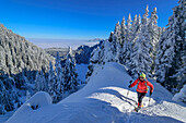 Frau beim Wandern steigt durch Winterwald zum Laber auf, Ammergauer Alpen, Oberbayern, Bayern, Deutschland 
