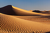  Africa, Morocco, Zagora, Sahara, Erg Lehoudi, sand dunes 