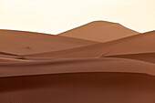  Africa, Morocco, Zagora, Sahara, Erg Lehoudi, sand dunes 