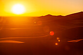  Africa, Morocco, Zagora, Sahara, Erg Lehoudi, sunset in dune landscape 