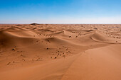  Africa, Morocco, Zagora, Sahara, Erg Lehoudi, sand dune sea 